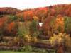 foliage on a Vermont hillside